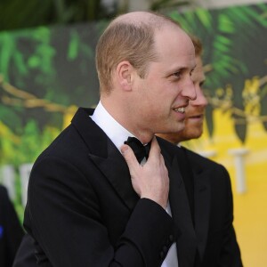 Le prince William, duc de Cambridge, le prince Harry, duc de Sussex, à la première de la série Netflix "Our Planet" au Musée d'Histoires Naturelles à Londres, le 4 avril 2019.