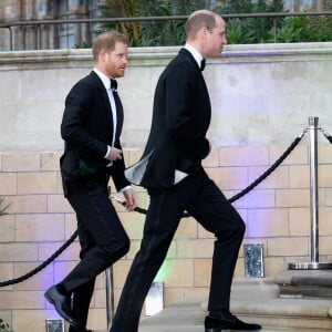 Le prince William, duc de Cambridge, le prince Harry, duc de Sussex, à la première de la série Netflix "Our Planet" au Musée d'Histoires Naturelles à Londres, le 4 avril 2019.