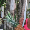 Fidji de "La Villa" en bikini sur Instagram, 20 avril 2019