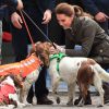 Kate Middleton, duchesse de Cambridge, l'amie des bêtes : en pleine séance de caresses avec les chiens Max, Paddly et... "Prince Harry" lors de sa visite à Keswick dans le comté de Cumbria dans le nord de l'Angleterre, le 11 juin 2019.