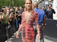 Céline Dion : En décolleté après un défilé avec Pepe Munoz et Iris Mittenaere