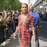 Céline Dion : En décolleté après un défilé avec Pepe Munoz et Iris Mittenaere