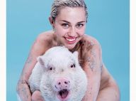 Miley Cyrus en deuil : Dévastée par la mort de son cochon, qui "lui manquera"