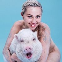 Miley Cyrus en deuil : Dévastée par la mort de son cochon, qui "lui manquera"