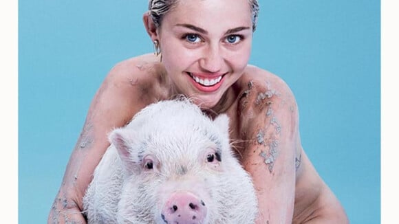 Miley Cyrus en deuil : Dévastée par la mort de son cochon, qui "lui manquera"