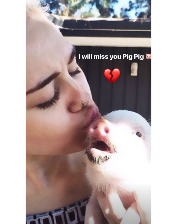 Miley Cyrus rend un dernier hommage à sa cochonne disparue, Bubba Sue, le 11 juillet 2019.