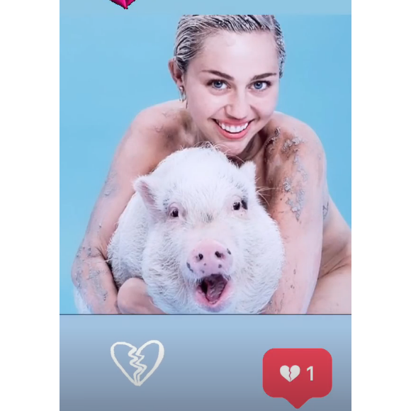 Miley Cyrus rend un dernier hommage à sa cochonne disparue, Bubba Sue, le 11 juillet 2019.