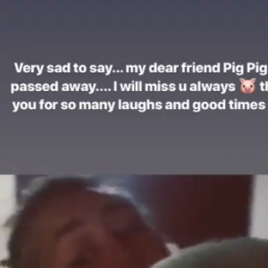 Miley Cyrus rend un dernier hommage à Pig Pig sur Instagram.