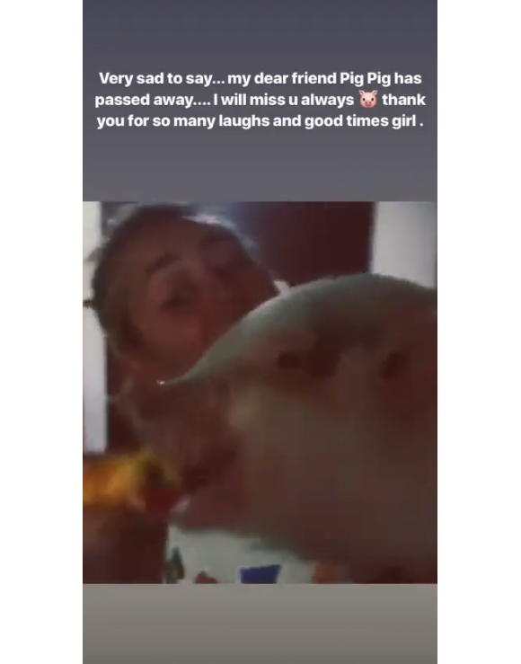 Miley Cyrus rend un dernier hommage à Pig Pig sur Instagram.