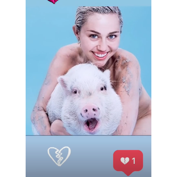 Miley Cyrus rend un dernier hommage à Pig Pig sur Instagram.