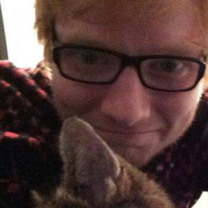 Ed Sheeran et son chat Graham, Twitter, le 23 janvier 2014.