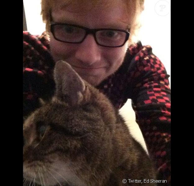 Ed Sheeran En Deuil Son Chat Est Mort Dans D Atroces Circonstances Purepeople Ed Sheeran En Deuil Son Chat Est Mort Dans D Atroces Circonstances Purepeople