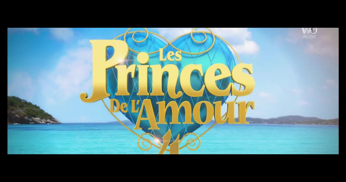 Les Princes de l'amour : Un ancien candidat est devenu papa - Purepeople