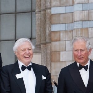 Le prince William, duc de Cambridge, Sir David Attenborough, le prince Charles, prince de Galles, le prince Harry, duc de Sussex, à la première de la série Netflix "Our Planet" au Musée d'Histoires Naturelles à Londres, le 4 avril 2019.