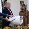 Le président Donald Trump et la première dame Melania présentent "Butter", la dinde nationale de Thanksgiving à la Maison Blanche à Washington le 26 novembre 2019.