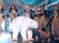 Miss France 2020 : Pourquoi y avait-il un ours blanc pendant le show ?