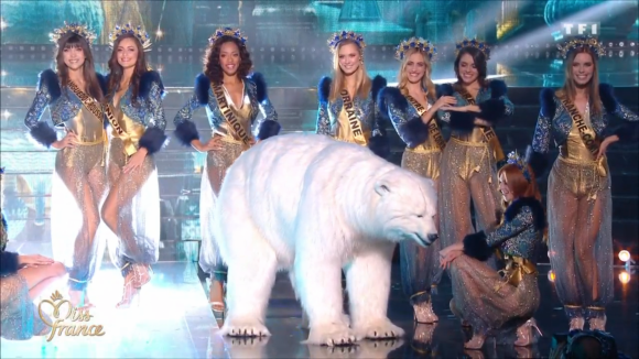 Miss France 2020 : Pourquoi y avait-il un ours blanc pendant le show ?