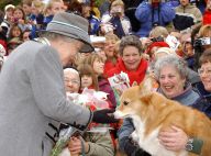 Famille royale : Pour Noël, elle prépare un menu spécial pour les petits chiens