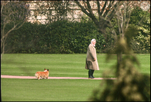 La reine Elizabeth II et son chien Windsor en 1994. 