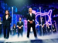 Les Enfoirés 2020 : Premières images des coulisses de leur concert