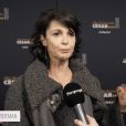 Zabou Breitman en interview exclusive pour "Purepeople.com" lors de la 45e cérémonie des César, à la salle Pleyel le 28 février 2020.