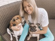 Jessica Thivenin, Maylone et ses chiens sous le même toit : les critiques fusent