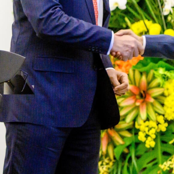 Le roi Willem-Alexander et la reine Maxima des Pays-Bas ont été accueillis par le président Joao Widodo et sa femme Iriana au palais présidentiel de Jakarta, à l'occasion d'un voyage officiel en Indonésie, le 10 mars 2020.