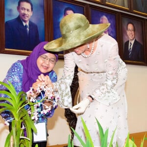 Le roi Willem-Alexander et la reine Maxima des Pays-Bas visitent le temple Prambanan lors de leur voyage officiel en Indonésie, le 11 mars 2020.  King Willem-Alexander and Queen Maxima of The Netherlands posing at the Prambanan Temple complex during their State Visit to Indonesia.11/03/2020 - Yogyakarta