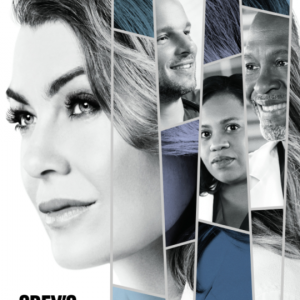 Affiche officielle de la saison 14 de "Grey's Anatomy".