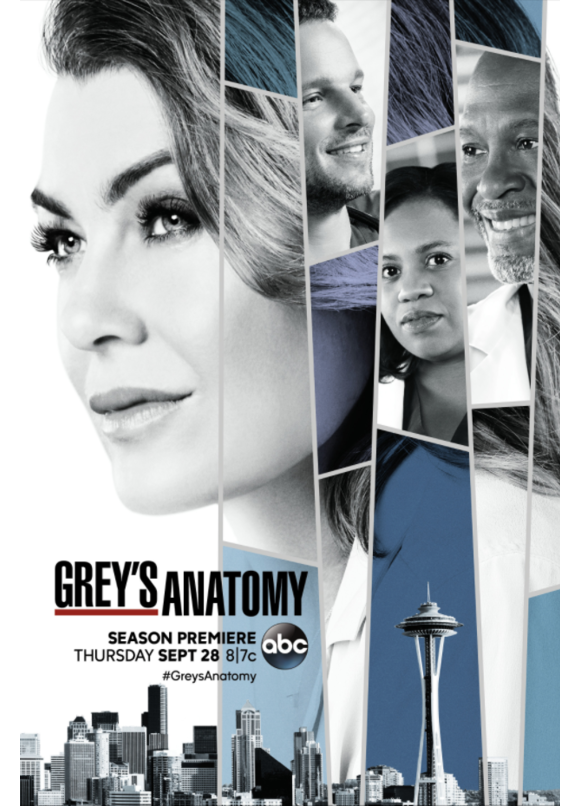 Affiche officielle de la saison 14 de "Grey's Anatomy".