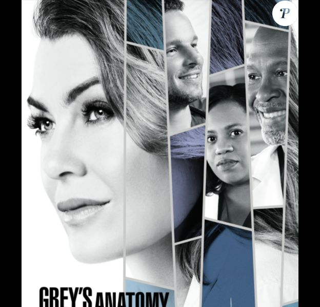 Affiche officielle de la saison 14 de "Grey's Anatomy".