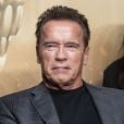 Info du 26 avril 2020 - Arnold Schwarzenegger bientôt grand-père, sa fille Katherine est enceinte de son premier enfant avec Chris Pratt.