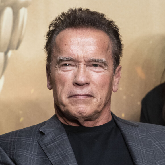 Info du 26 avril 2020 - Arnold Schwarzenegger bientôt grand-père, sa fille Katherine est enceinte de son premier enfant avec Chris Pratt.