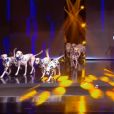Les French Twins dans "Incroyable talent", la bataille du jury", le 7 juillet 2020, sur M6