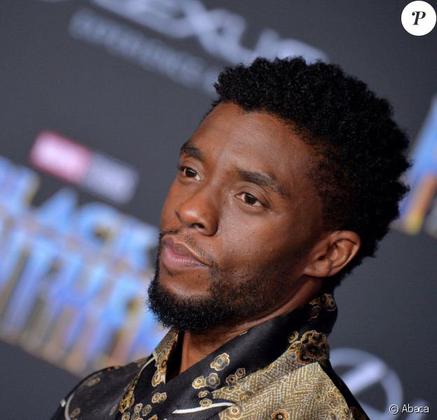 Chadewick Boseman à la première de "Black Panther" à Los Angeles.