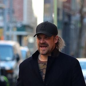 Lily Allen et son compagnon David Harbour se promènent dans les rues de New York le 1er novembre 2019