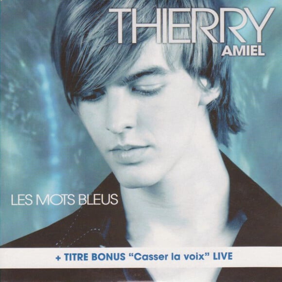 Reprise de la chanson "Les mots bleus", par Thierry Amiel, en 2003.
