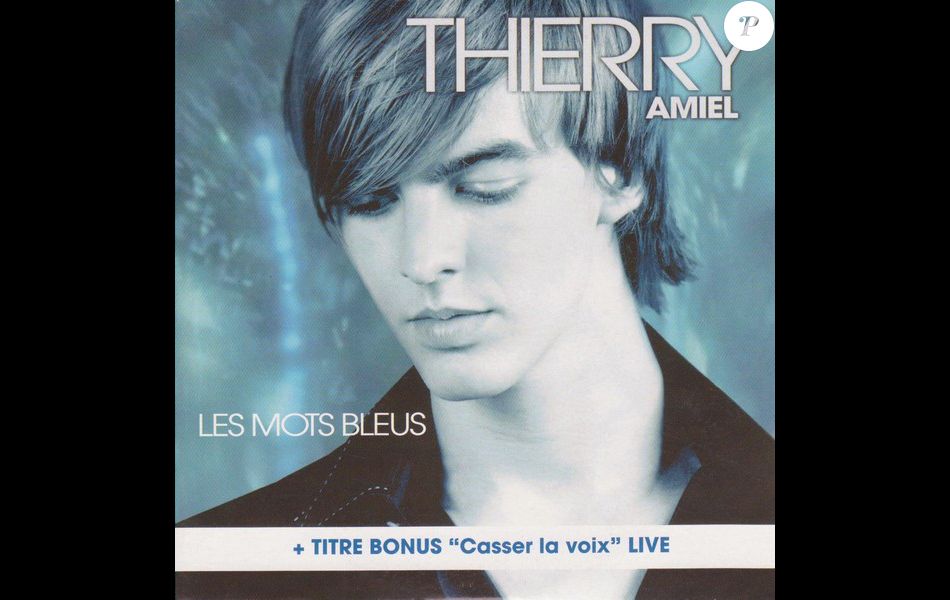 Reprise de la chanson &quot;Les mots bleus&quot;, par Thierry Amiel, en 2003.