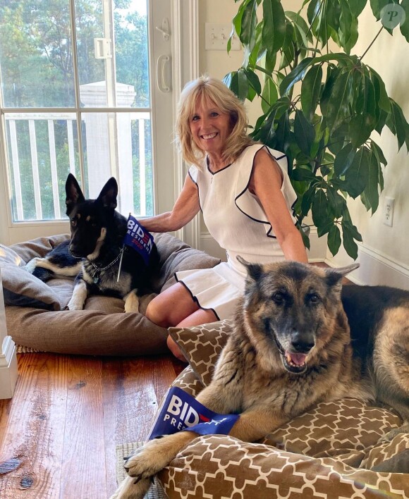 Jill Biden et ses deux chiens, Major et Champ, sur Instagram en août 2020.