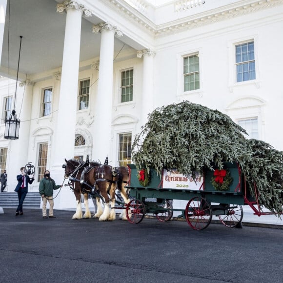 La première Dame Melania Trump reçoit pour la dernière fois le sapin de Noël à la Maison Blanche à Washington, le 23 novembre 2020.
