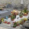 La tombe de Romy Schneider à Boissy-sans-Avoir, dans les Yvelines, le 3 mai 2013.