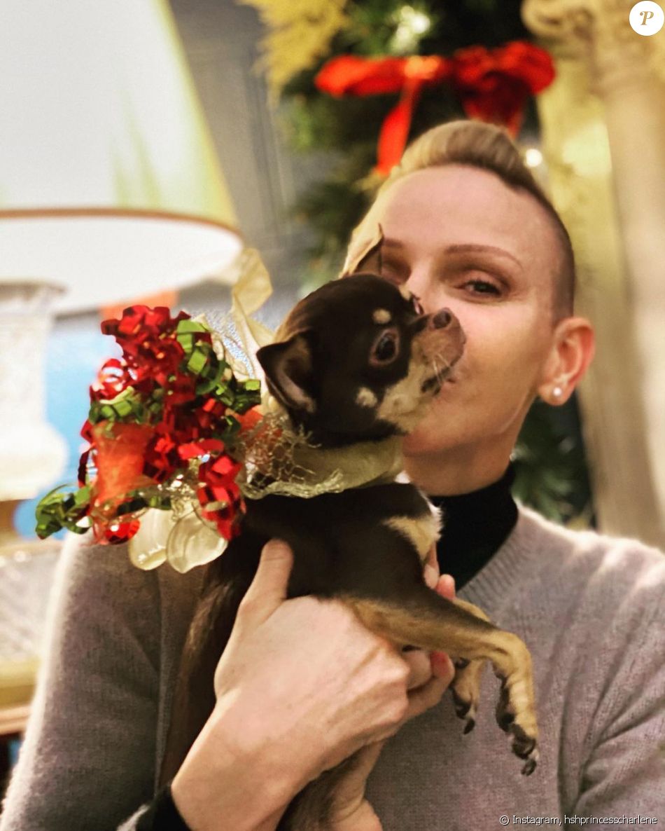Charlene de Monaco, le crâne à moitié rasé, pour adresser ses meilleurs voeux après Noël. Le 26 décembre 2020.