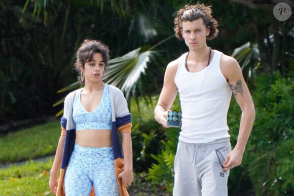 Exclusif - Shawn Mendes et sa compagne Camila Cabello sont allés se promener en amoureux après le déjeuner à Miami, le 15 novembre 2020.