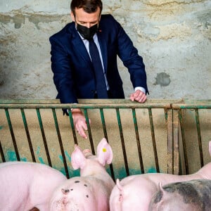 Le président de la République française Emmanuel Macron dans l'élevage de cochons de la Ferme d'Etaules. Le 23 février 2021. © Eric Tschaen/Pool/Bestimage