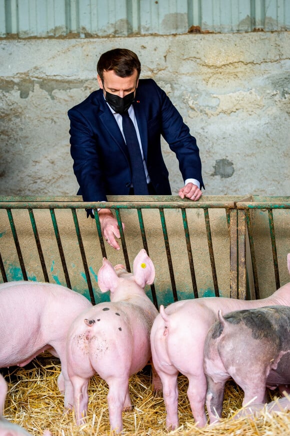 Le président de la République française Emmanuel Macron dans l'élevage de cochons de la Ferme d'Etaules. Le 23 février 2021. © Eric Tschaen/Pool/Bestimage
