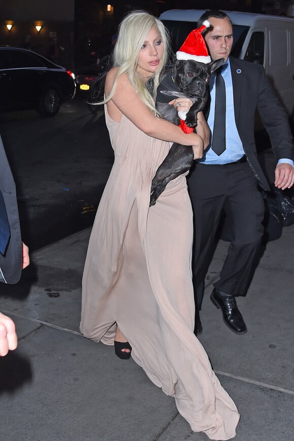 Lady Gaga et son compagnon Taylor Kinney arrivent avec leurs chiens, Miss Asia and Koji déguisés en père Noël à New York le 11 décembre 2015.
