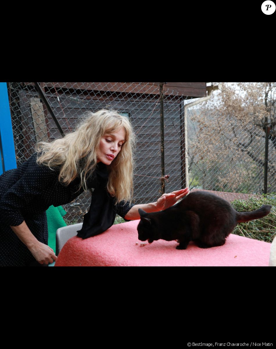 Exclusif - Rencontre avec Arielle Dombasle au refuge pour chats "Les chats de Stella" à Vence. Le 5 février 2021 © Franz Chavaroche / Nice Matin / Bestimage