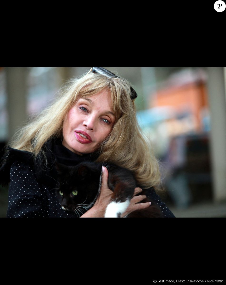 Exclusif - Rencontre avec Arielle Dombasle au refuge pour chats "Les chats de Stella" à Vence. Le 5 février 2021 © Franz Chavaroche / Nice Matin / Bestimage