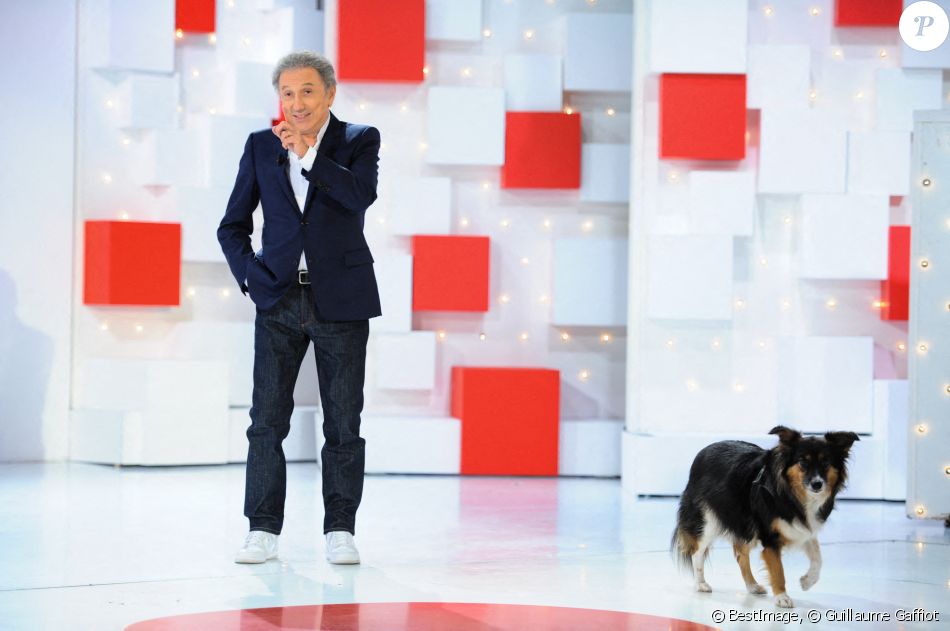 Michel Drucker Et Son Chien Izia Enregistrement De L Emission Vivement Dimanche Au Studio Gabriel Presentee Par Michel Drucker Dont C Est Le Grand Retour A Purepeople