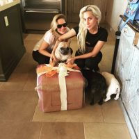 Lady Gaga : Son dog-sitter toujours hospitalisé, son état de santé s'est aggravé, il donne des détails